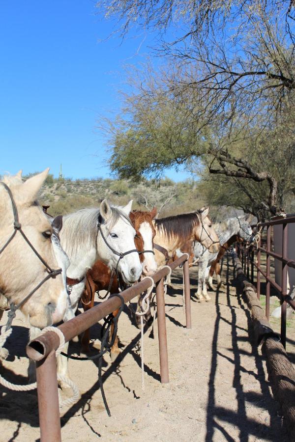 Kay El Bar Guest Ranch Hotel Wickenburg Exterior photo